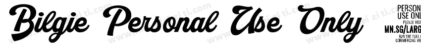 Bilgie Personal Use Only 0 Sample字体转换